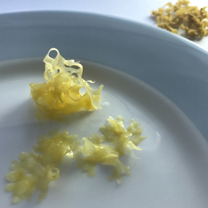 181 Irish Moss GOLD 30g