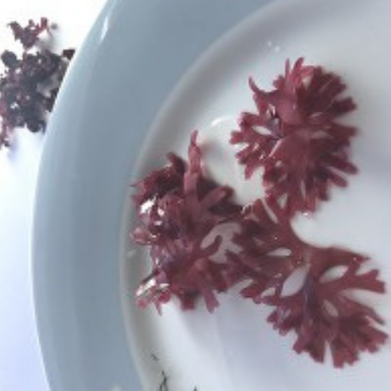 181 Irish Moss RED 30g