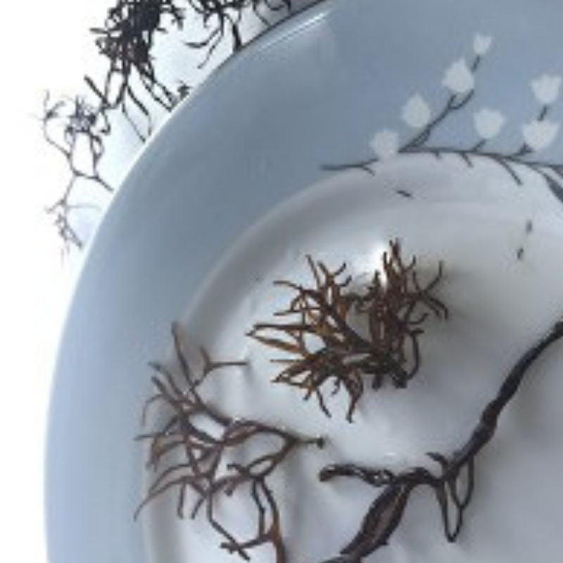 181 Moulded Tenax 30g