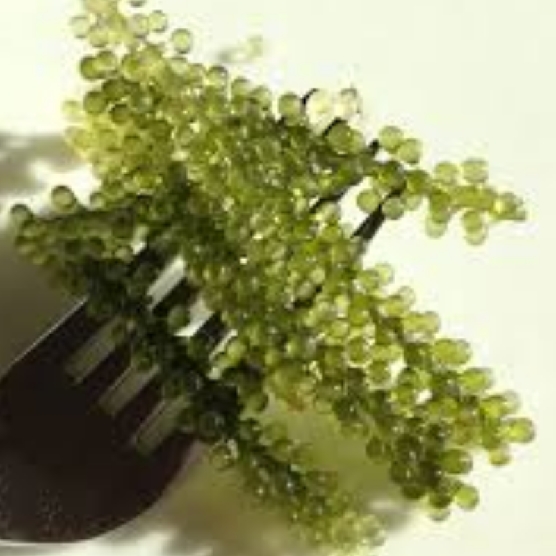 JA Sea Grapes 100g - Umibudo