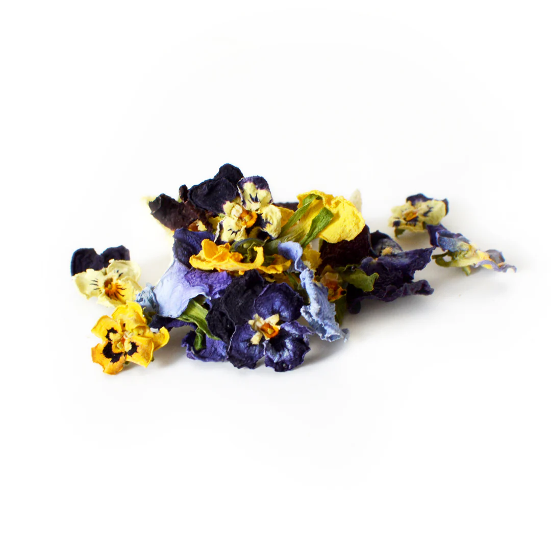 PI FS Viola 25g